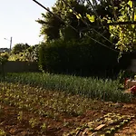 Casa Zulema ホテル サンシェンショ