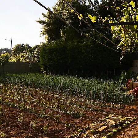 Casa Zulema Hotel Sanxenxo
