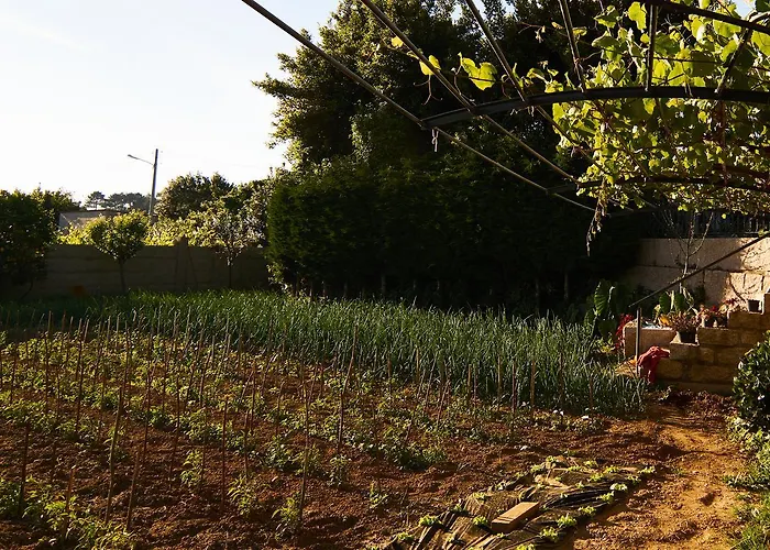 Casa Zulema Ξενοδοχείο Sanxenxo